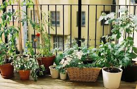 a balcony with many plants on it